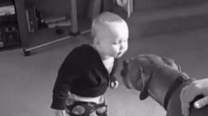first-kiss-enfant-bebe-animaux-chien-lol