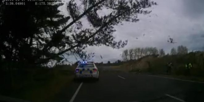 Un arbre tombe très près de deux policiers
