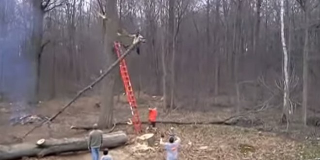 Il coupe une branche d’arbre et chute
