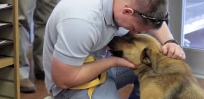 Après 7 mois de recherche infructueuse, il retrouve enfin son chien