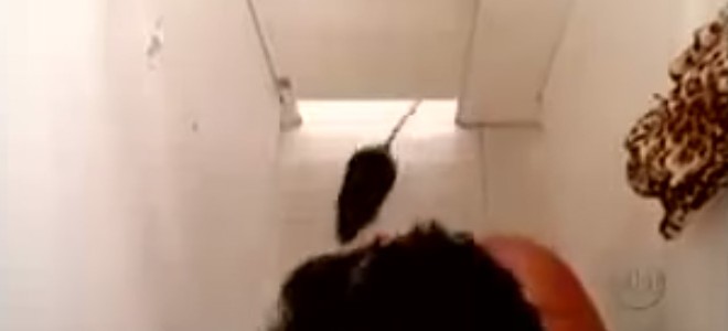 Un rat s’incruste dans une cabine d’essayage