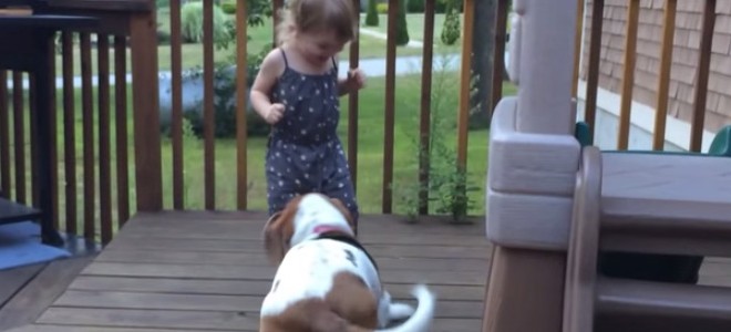 Une fillette morte de rire grâce à son chien
