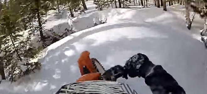 Un motard a une surprise dans un bois