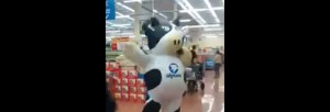 vache-danse-mascotte