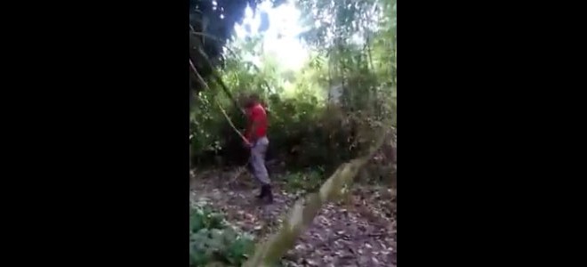 Un homme attaqué par un jaguar