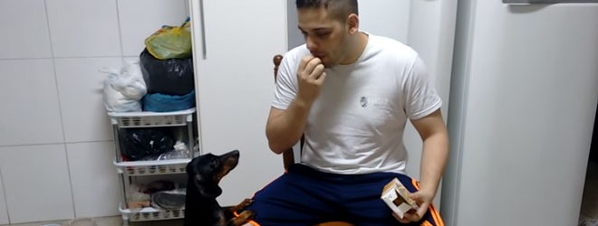 Une technique pour donner des médicaments à un chien